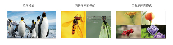 1603347592856013.jpg 九畫(huà)面1.jpg