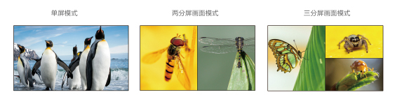 1603348058432443.jpg 四畫(huà)面2.jpg